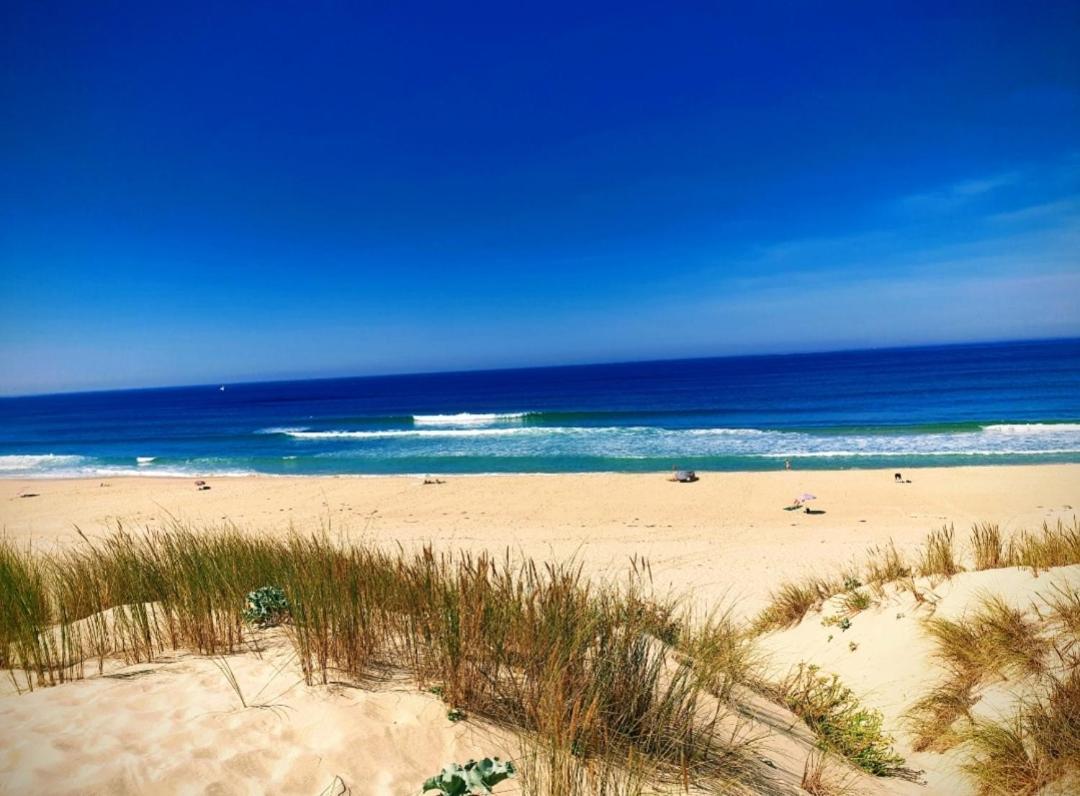 L'Ocean&Dunes Vue A 180° En Bord De Plage Лакано Екстер'єр фото