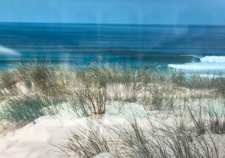 L'Ocean&Dunes Vue A 180° En Bord De Plage Лакано Екстер'єр фото
