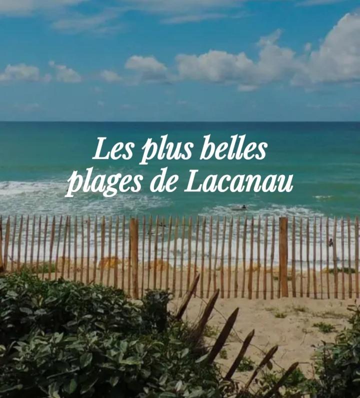 L'Ocean&Dunes Vue A 180° En Bord De Plage Лакано Екстер'єр фото